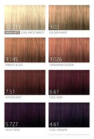 Scruples Hair Color Chart Scruples True Integrity Hair Color