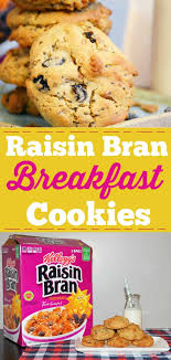 raisin bran breakfast cookies recipe