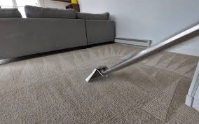 best homemade carpet cleaners