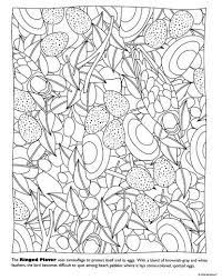 Printable splendid design skylanders coloring pages download camouflage coloring pages printable printable size. Hidden Feathers Creature Camouflage Coloring Book 9781892069856 Christianbook Com