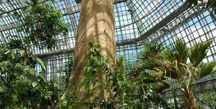 Allgemein wurde er, auch in der eigenen terminologie, als botanischer garten dahlem bezeichnet; Tropenhaus Im Botanischen Garten Orte Fur Das Erste Date Top10berlin