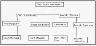 Housekeeping Knowledge For Cruise Ship Personnel