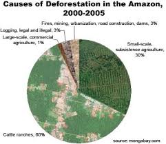 The Causes Of Deforestation Deforestation Of The Amazon