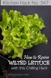 How do I fix wilted lettuce in my garden?