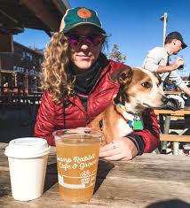 your dog friendly guide to greenville sc