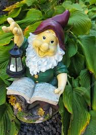 garden gnome reading a book stock