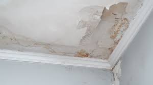 water damage repair in a house the