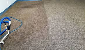 home clean step carpet cleaningclean