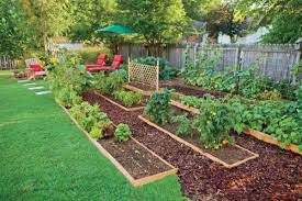 Edible Landscaping Edible Garden