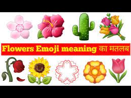 flowers emoji meaning in hindi