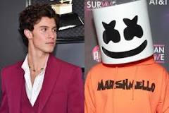 is-shawn-mendes-marshmallow