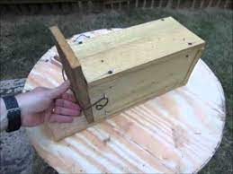 how to make a squirrel box you