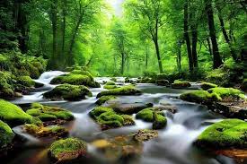 nature wallpaper hd images browse 94