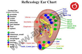 Reflexology Points On The Right And Left Hands Ears Foots