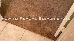 how to remove bleach spots from carpet