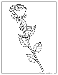 53 flower coloring pages free pdf