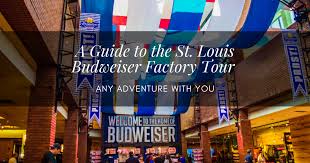 budweiser tour st louis photos guide