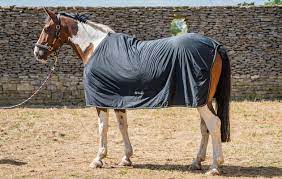 bucas power cooler review horse
