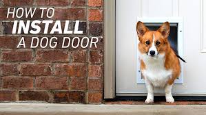 Install A Pet Door