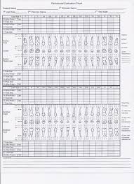 5 File Periodontal Chart Illustratedg Perio Chart Pdf