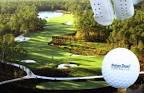 Pelican Sound Golf & River Club - Gulf Coast Florida Homes