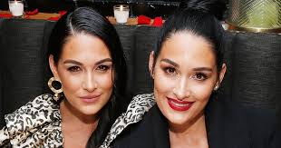 bella twins nikki and brie bella give