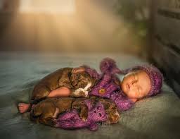 Image result for babies and animals sleeping