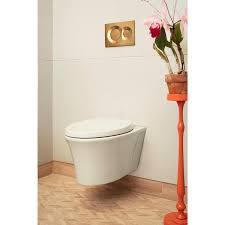 1 6 Gpf Dual Flush Elongated Toilet