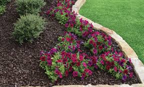 The Best Mulches For South Florida
