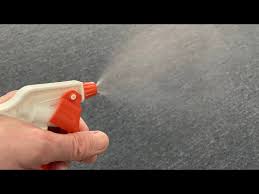 flea spray for carpets homemade fast