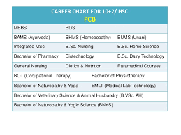 Career Options After 12th Std