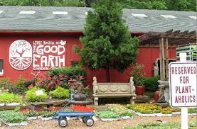Deals And More At Good Earth Garden