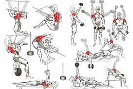 25 Unique Bodybuilding Exercises