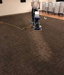commercial cleaning blue dog carpet