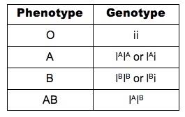 4 3 Theoretical Genetics Bioninja