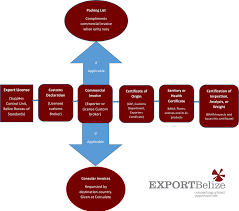 Export Process Beltraide