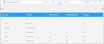 view your storagegrid systems netapp