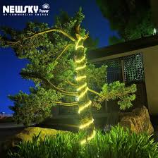 Tape Light For Palm Tree