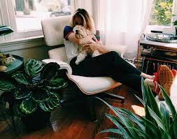 List Of Dog Friendly House Plants Pawness