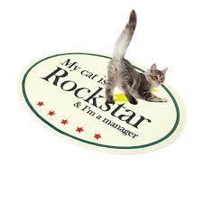 joegush my cat is rockstar mini rug