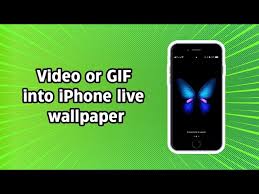 video or gif into iphone live wallpaper