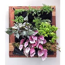 Eye on design is all about jungalow style, where cozy indoors meet lush outdoors. Amazon Com 12 Pocket Indoor Waterproof Vertical Living Wall Planter Garden Outdoor