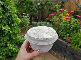 what is diatomaceous earth how to use