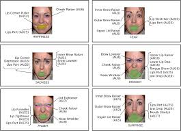 Mapping The Emotional Face How Individual Face Parts