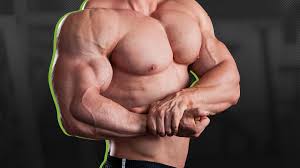 the best bodybuilding chest workout