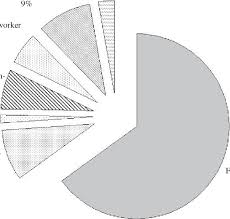 Pie Chart Showing Household Income Structure Download