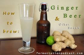 episode 4 how to make ginger beer and lacto fermented soda