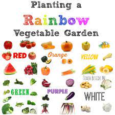 planting a rainbow vegetable garden