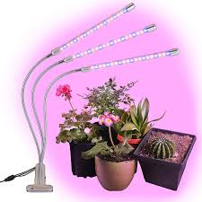 Some of these lights are only able to grow one plant (if you're lucky), and not much more. How Do Led Grow Lights Work South Africa Today