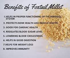 7 health benefits of foxtail millet